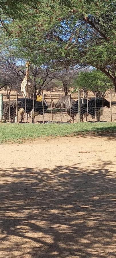 Ombo Rest Camp Hotel Okahandja Exterior foto